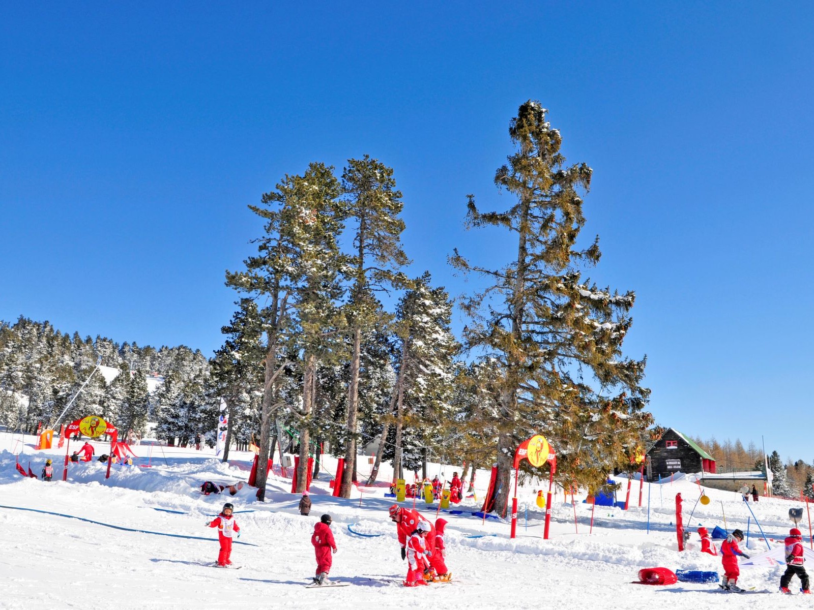 Ski