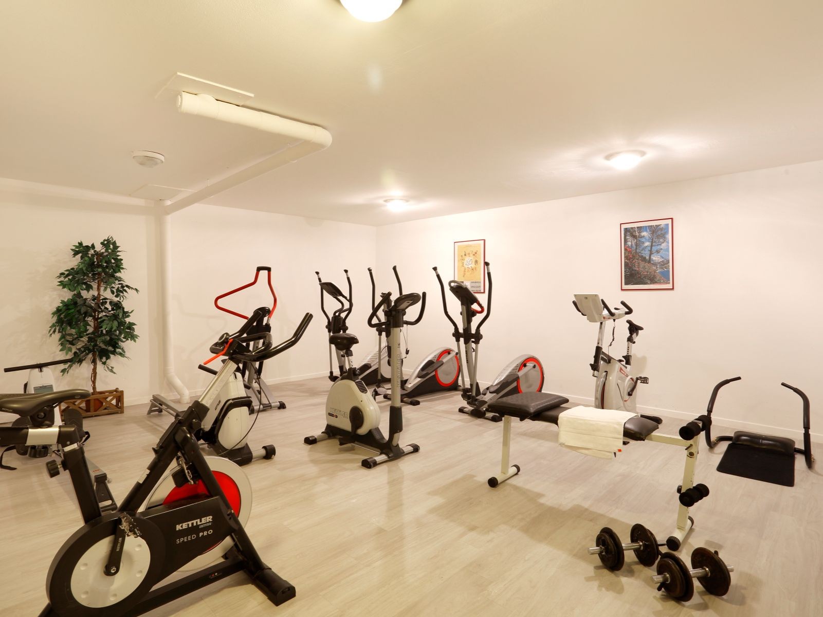 Salle de fitness